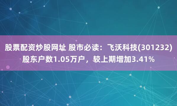 股票配资炒股网址 股市必读：飞沃科技(301232)股东户数1.05万户，较上期增加3.41%