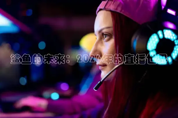 龙门体育在线观看